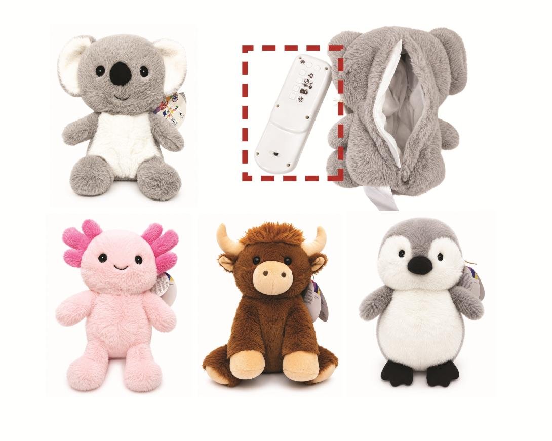 Sensory Toys (1)